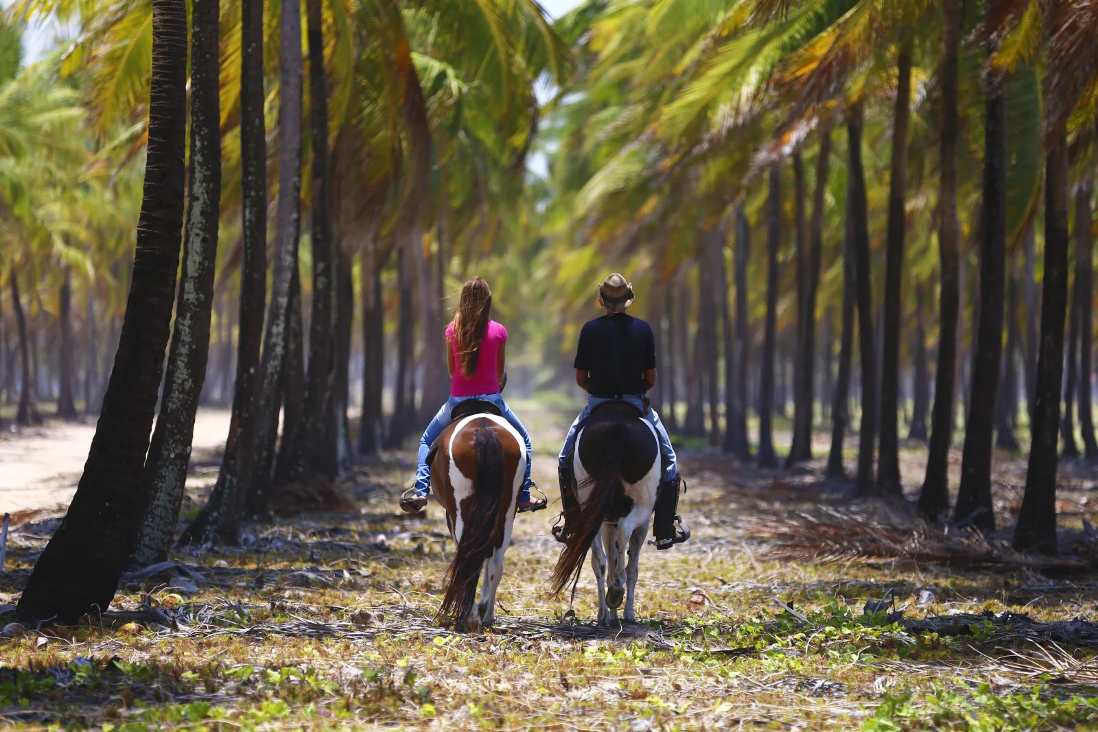 Passeio de Cavalo